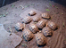 Baby Hermann's Tortoise's for sale.