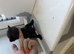 3 black and white kittens