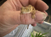 Baby crested geckos