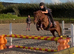 12.2hh WPB, 18-year-old gelding