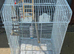 Large bird cage