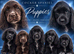 Cocker Spaniel Puppies