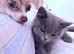 Two beautiful girls available xx