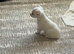 Gorgeous Apple Head,Cream Long Haired 3/4 Russian Chihuahua Beautiful quality