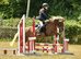 Welsh B pony