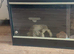 Vivexotic Reptile Vivarium Maxi Large Black