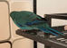 Bonded pair of kakarikis male and female 6 months old