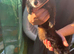Black ferret