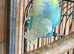 Adult Budgies Looking for Loving Homes – Folkestone