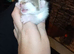 Kittens ready in 6 weeks
