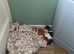 4 kittens ready for there forever good home
