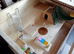 Hamster cage