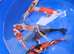 Japanese koi ( mixed breeders)
