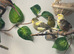 Female canary