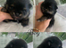 Beautiful KC POM PUPPYS AVAILABLE