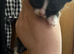 Selling 1 kittens