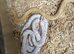 Mixed snakes
