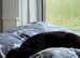14 week old male black Labrador puppy