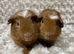 Bonded Baby Brothers. Price is for the pair