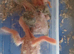 Baby lovebirds for sale