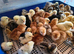 Week old pure breed chicks