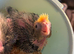Baby cocktail