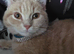 Beautiful boy