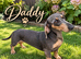 Miniature dachshund puppies