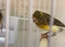 Mixed This year canary’s
