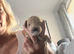 Beautiful Cockapoo puppies 5 boys 3 girls