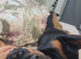 Female rottweiler