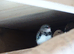1 x Juvenile Diamond Firetail Finch