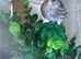 Goldfinch mule