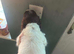 Working cooker spaniel