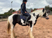 Millie – 12-Year-Old 14.3hh