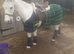 !12hh LOAN hacking/leadrein!