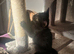 One female black kitten looking for their forever home
