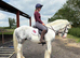 15hh | 5-Year-Old Cob Gelding