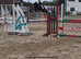 Show jump, Event or Dressage Quality Horse