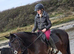 Irish sport horse mare