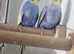 Two rainbow budgies