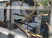 Breeding pair of green cheek conure male and female *