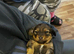 Dachshund cross chihuahua [CHIWEENIE]