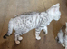 British Shorthair silver spotted and silver shaded kittens