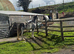 Quality Blagdon filly