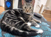Male tabby