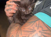 5 beautiful kittens available now for 1x male ginger rehomed
