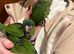 Hand reared hahns macaw . (Male)