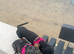 Miniature dachshunds