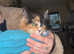 Mobile Microchipping